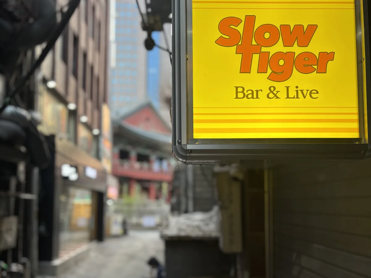 라이브바 슬로우타이거 SLOW TIGER